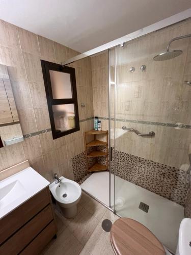 uma casa de banho com um chuveiro, um WC e um lavatório. em Apartamento Jerez Norte em Jerez de la Frontera