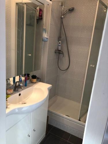 une salle de bain avec un lavabo et une douche dans l'établissement Terrasse avec Vue, à Paris