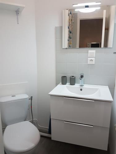 une salle de bain blanche avec des toilettes et un lavabo dans l'établissement Studio meublé équipé paisible, à Chambray-lès-Tours