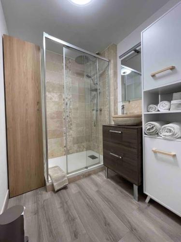 une salle de bain avec une douche en verre et un lavabo dans l'établissement APPARTEMENT CENTRE MEDIEVAL SPACIEUX AVEC ASCENSEUR, La suite cosy de la boëtie, à Sarlat-la-Canéda