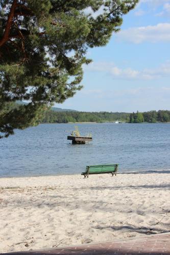 a bench on a beach with a dock in the water at Remote Work Friendly Zahradní apartmán u jezera in Staré Splavy