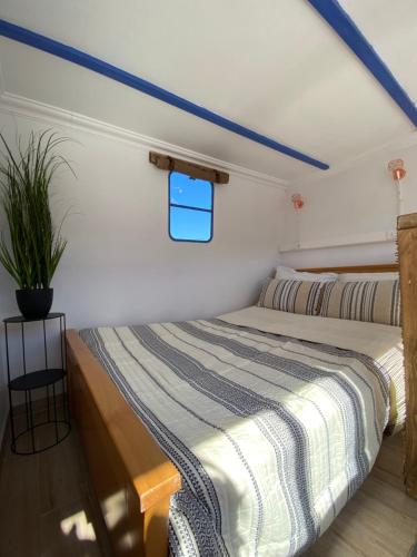 The HorseBox a tiny villa tesisinde bir odada yatak veya yataklar