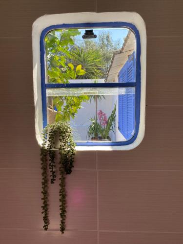 a window with a potted plant in a room at The HorseBox a tiny villa in Souda