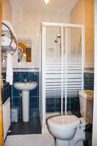 a bathroom with a shower and a toilet and a sink at The Coach Inn in Strabane