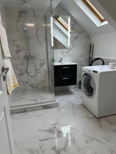 a bathroom with a shower and a washing machine at Cozy apartment in Monaco center in Monte Carlo