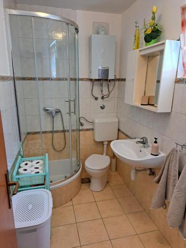 a bathroom with a shower and a toilet and a sink at Robinson Ane in Gdinj