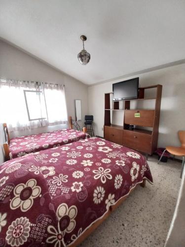 a bedroom with a bed and a tv in it at Margaritas Eco Haus in Querétaro