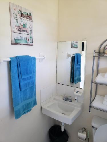 uma casa de banho com um lavatório e um espelho em The Resort at West End em Negril