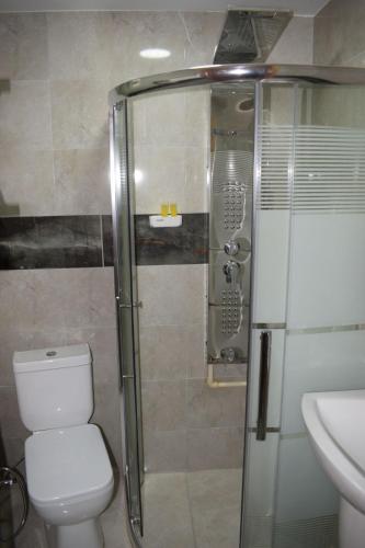 La salle de bains est pourvue d'une douche, de toilettes et d'un lavabo. dans l'établissement Petra rose city, à Wadi Musa