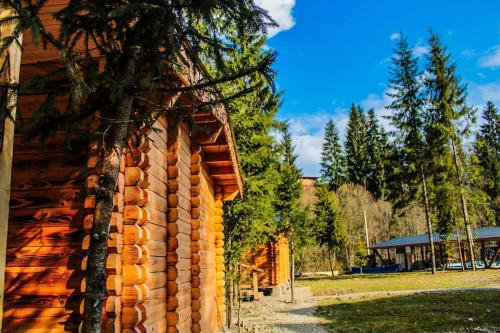 uma cabana de madeira com uma árvore ao lado dela em Naciku SPA Hotel em Bukovel