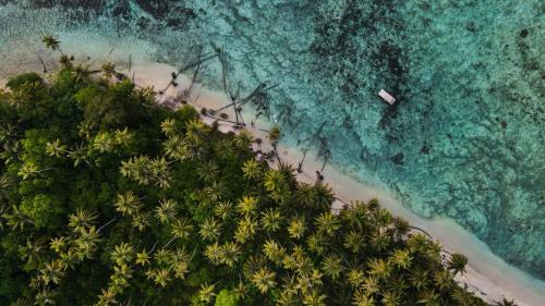 an overhead view of a beach with palm trees and the ocean at Tailana Island Pulau Banyak in Alaban