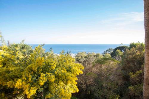 - une vue sur l'océan depuis un arbre dans l'établissement Exceptional Super-Cannes Glaïeuls with sea view swimming pools jacuzzi, à Vallauris