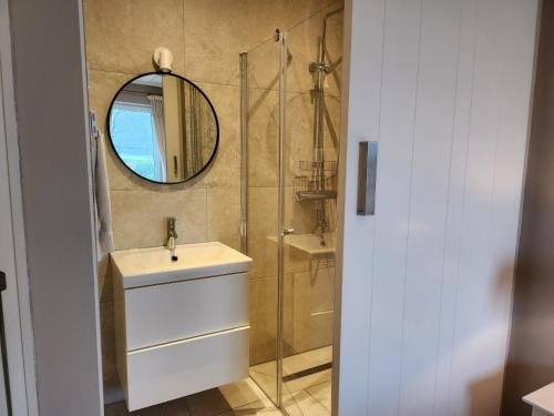 a bathroom with a sink and a mirror at Landhuis de heibloem in Heythuysen