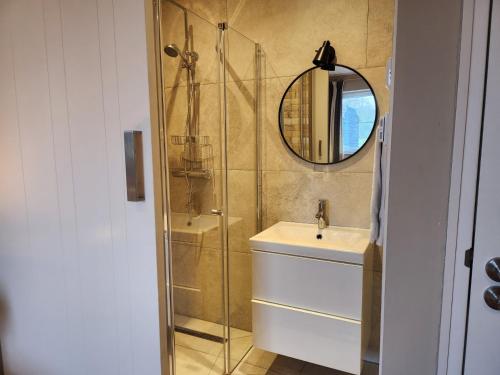 a bathroom with a sink and a shower with a mirror at Landhuis de heibloem in Heythuysen