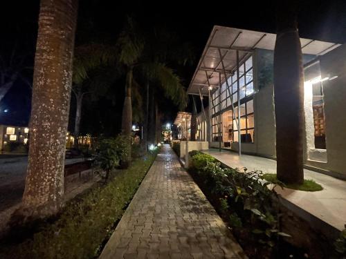 a sidewalk with palm trees and a building at night at Royal Tiger Luxury Resort in Sauraha