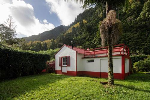 a red and white house with a palm tree in the grass at Quinta D'Água in Furnas