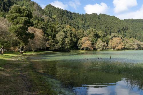 personas nadando en un lago con árboles en el fondo en WelcomeBuddy - Quinta D'Água, en Furnas