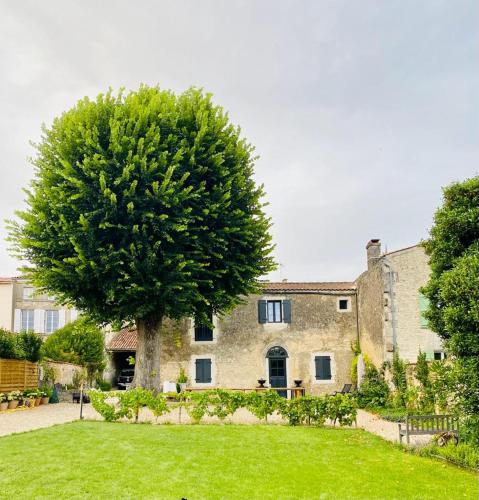 une grande maison en pierre avec un arbre dans la cour dans l'établissement The Old Stables, à Saint-Jean-dʼAngély