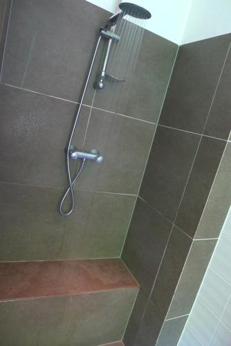 a shower with a shower head in a bathroom at La Maison entre Deux Rivières The River Mountain House - Nohèdes in Nohèdes