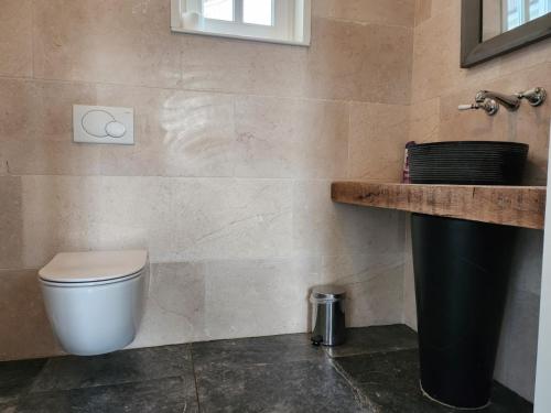 a bathroom with a toilet and a sink at Landhuis de heibloem in Heythuysen