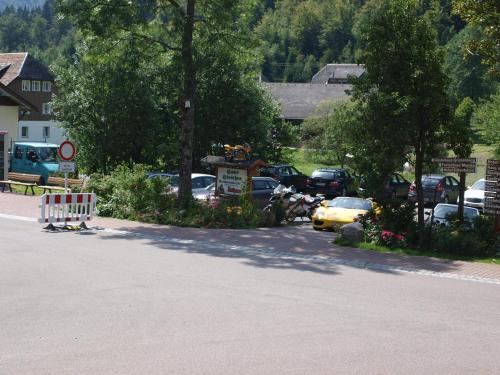 Příroda nedaleko hotelu