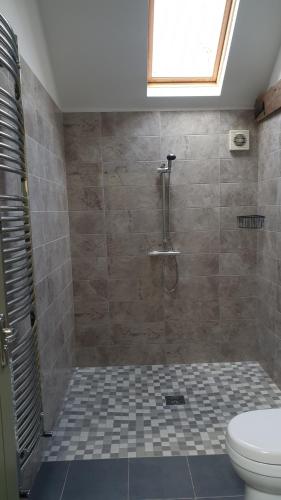 a bathroom with a shower and a toilet at Charming Country Retreat in Lincoln