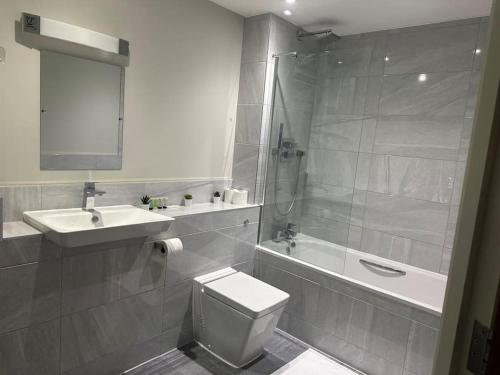 La salle de bains est pourvue de toilettes, d'un lavabo et d'une douche. dans l'établissement Spacious, bright 2 bed flat with 1 S/king bed., à Brentwood