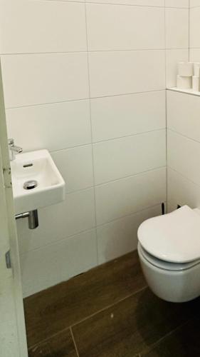 ein Badezimmer mit einem weißen WC und einem Waschbecken in der Unterkunft Vakantiehuis De Zwaan in Benk en Donk