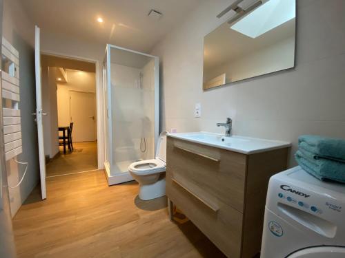 une salle de bain avec un lavabo et des toilettes dans l'établissement Appartements Baron Bouvier, à Vesoul