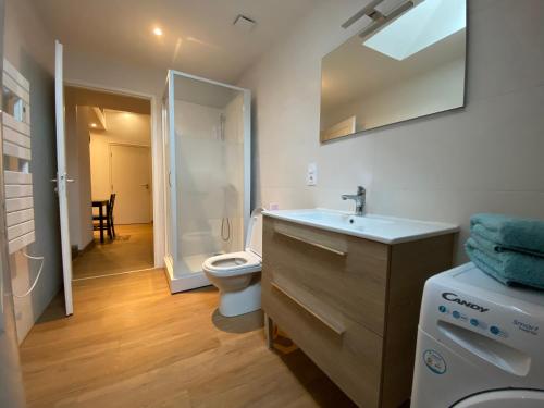 La salle de bains est pourvue d'un lavabo et de toilettes. dans l'établissement Appartements Baron Bouvier, à Vesoul