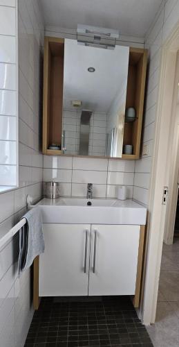 a bathroom with a white sink and a mirror at Dennenhuis in Vaassen