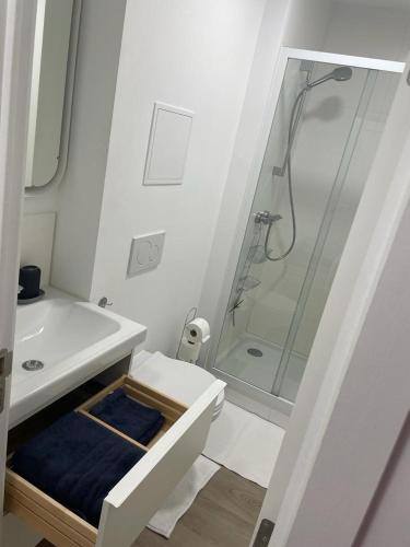 een witte badkamer met een douche en een wastafel bij Appartement gare du midi in Brussel