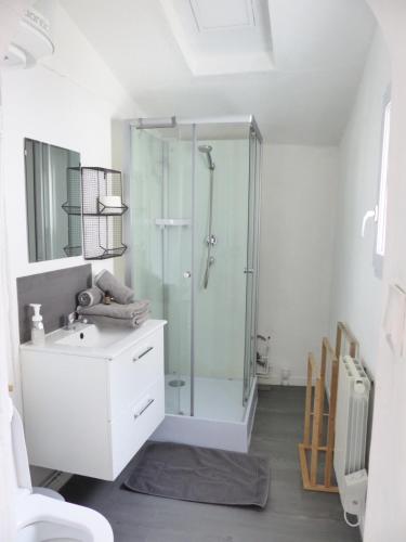 La salle de bains est pourvue d'une douche en verre et d'un lavabo. dans l'établissement LA PETITE MAISON TAHET, 2 pers avec terrasse, à Basse-Indre