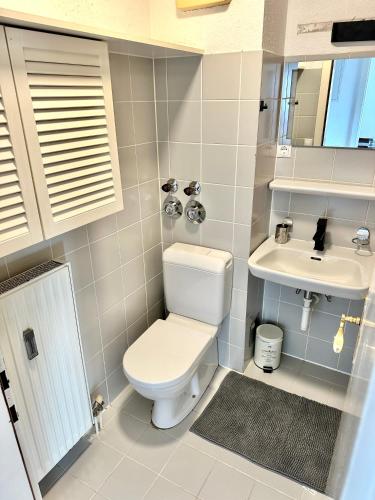 La salle de bains est pourvue de toilettes et d'un lavabo. dans l'établissement Ferienwohnung am Bregenzer Hafen, à Bregenz