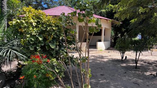 a garden with flowers and a house in the background at Lodge Jamarek in Kafountine