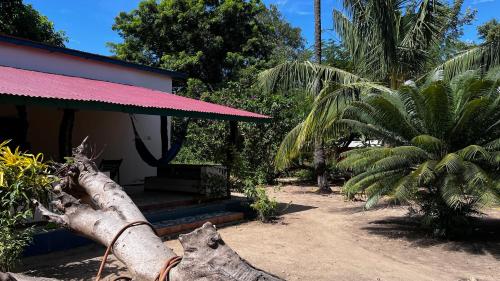 a tree laying on the ground next to a house at Campement Jamarek in Kafountine