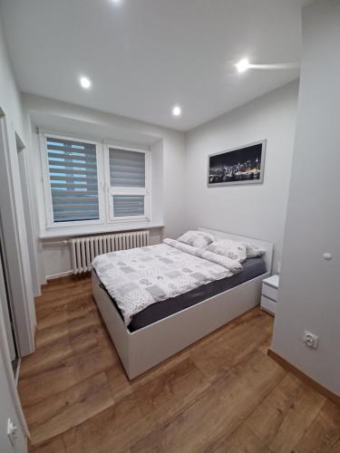 - une chambre avec un lit et une fenêtre dans l'établissement Apartament Staszica, à Radom