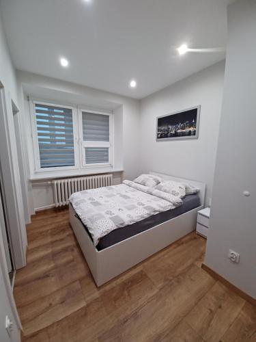 Posteľ alebo postele v izbe v ubytovaní Apartament Staszica