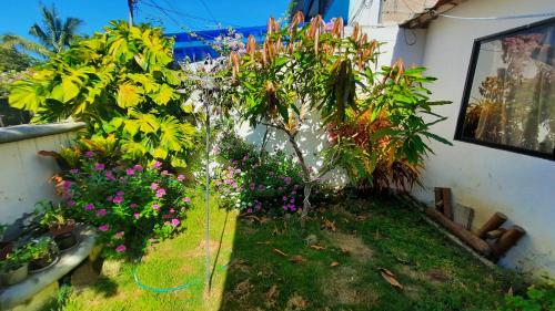a garden with flowers and plants on the side of a house at Alma de cedrela in Puerto Ayora