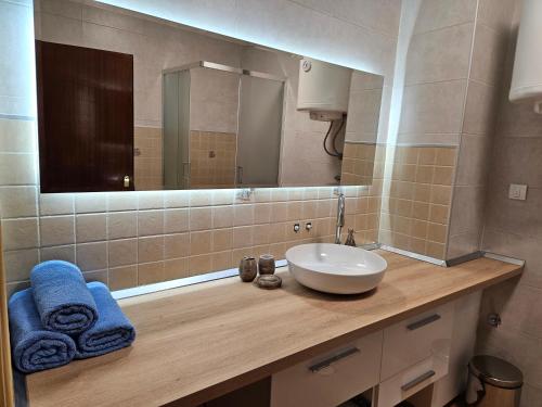 a bathroom with a sink and a mirror at Apartments "Villa Miona" in Belgrade