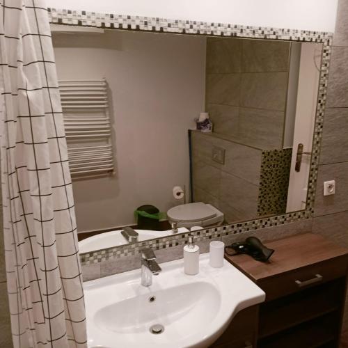 a bathroom with a sink and a mirror at Pokoje u Danuty in Piwniczna-Zdroj