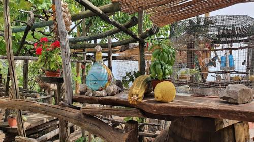 a wooden table with fruits and plants on it at Ulisse sul Sentiero in Praiano