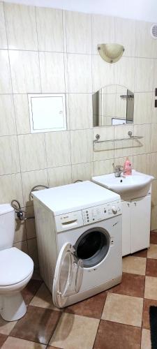 a washing machine in a bathroom with a sink and a toilet at Śpioszek in Stronie Śląskie