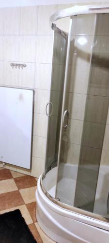 a shower with a glass door in a bathroom at Śpioszek in Stronie Śląskie