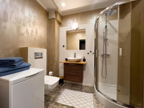 a bathroom with a shower and a toilet and a sink at Apartament na Kaszubach in Kościerzyna