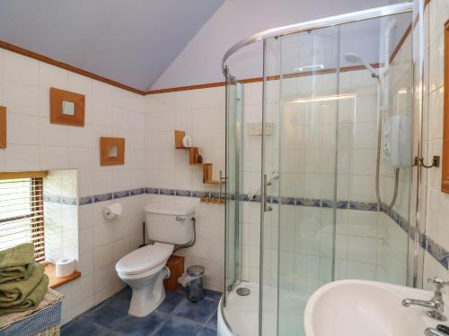 a bathroom with a toilet and a shower and a sink at The Abraham in Moone