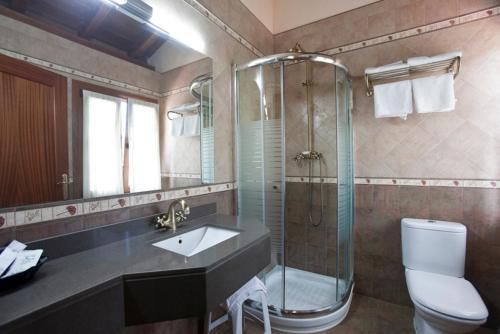 a bathroom with a shower and a sink and a toilet at Hotel Rural Las Palmeras Muskiz in Muskiz