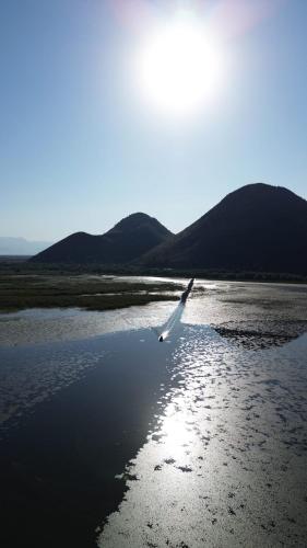 a white bird flying over a body of water at JG Studio apartment in Vranjina
