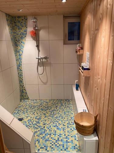 a bathroom with a shower with a toilet and a floor at Artgerecht Naturverliebt in Bad Berleburg