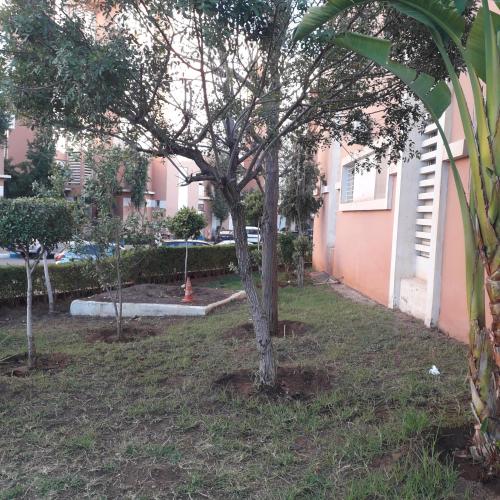 uma pequena árvore num quintal ao lado de um edifício em ديار المنصور بني ملال المغرب em Beni Mellal